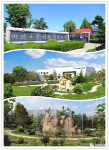 春天賞花 踏青來(lái)田瑞生態(tài)園,感受美不勝收的生態(tài)景觀