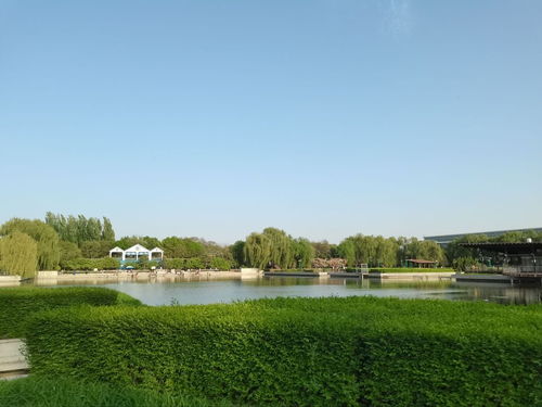 保定市農(nóng)業(yè)生態(tài)園門(mén)票,保定市農(nóng)業(yè)生態(tài)園游玩攻略 360地圖