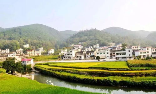 7 種模式讓鄉(xiāng)村旅游開(kāi)發(fā)豐富多彩