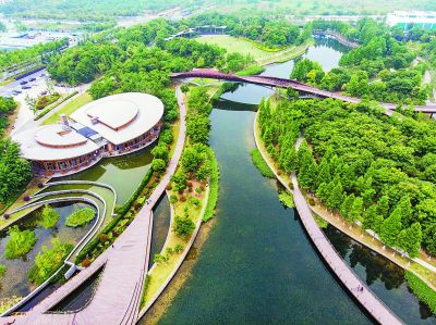 南京河西城市生態公園打造“水域仙境”